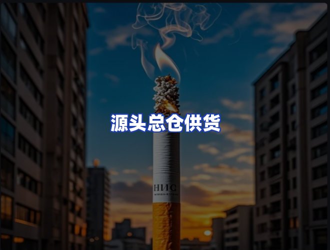 专业团队
